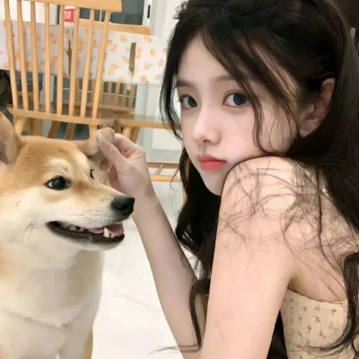 狮子军龙虎鬪